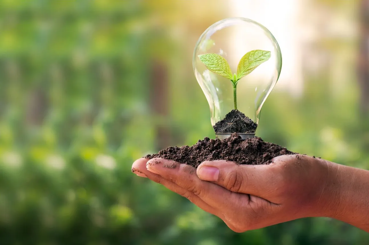 A hand holding soil with a young seedling growing inside a light bulb